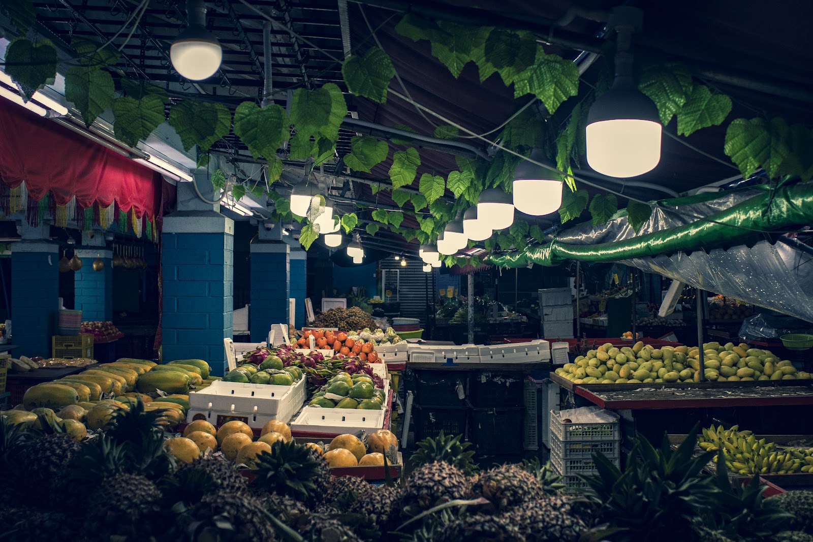 Fruit Paradise
