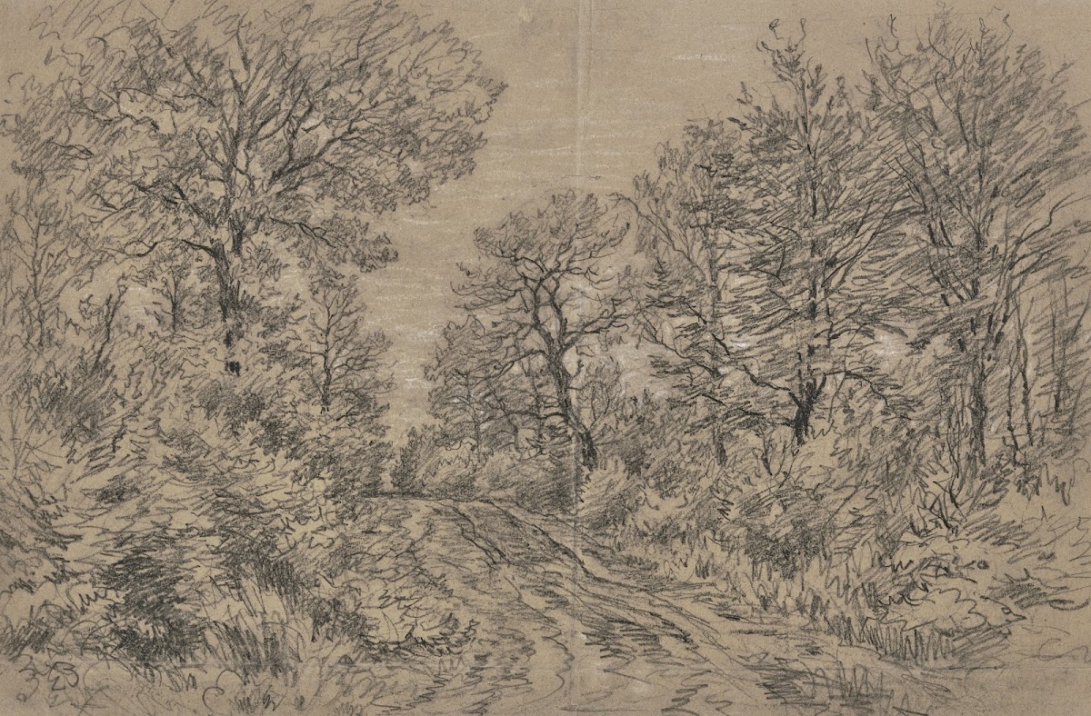 Waldpartie mit einem Fahrweg