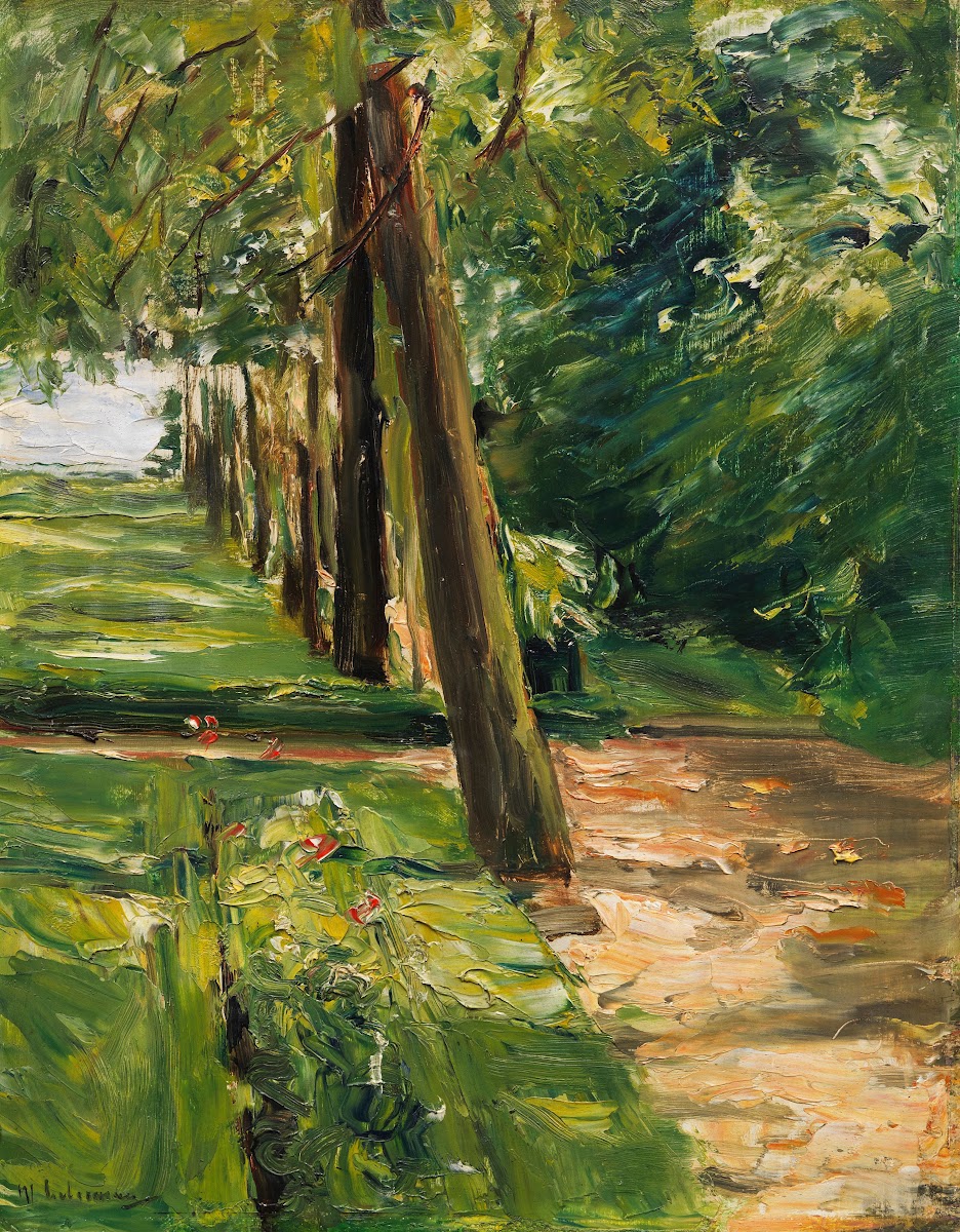 Die Birkenallee im Wannseegarten nach Osten Wohl 1924