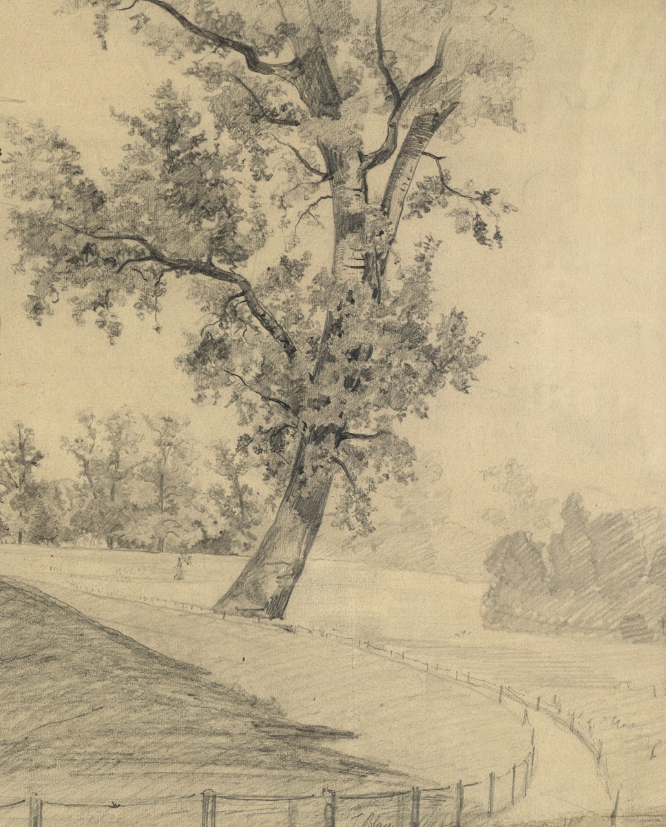 Parklandschaft 1875