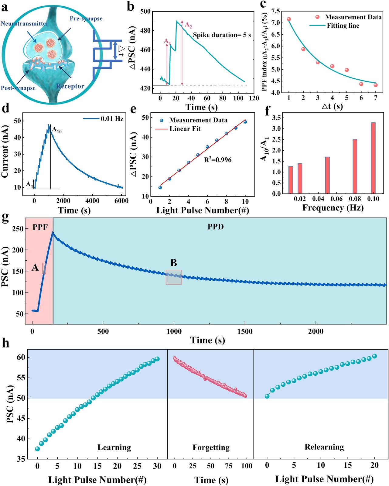 Low Energy Consumption Photoelectric Memristors with Multi-Level Linear Conductance Modulation in Artificial Visual Systems Application