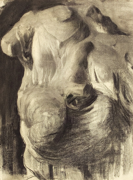 Cast Study Draped Torso