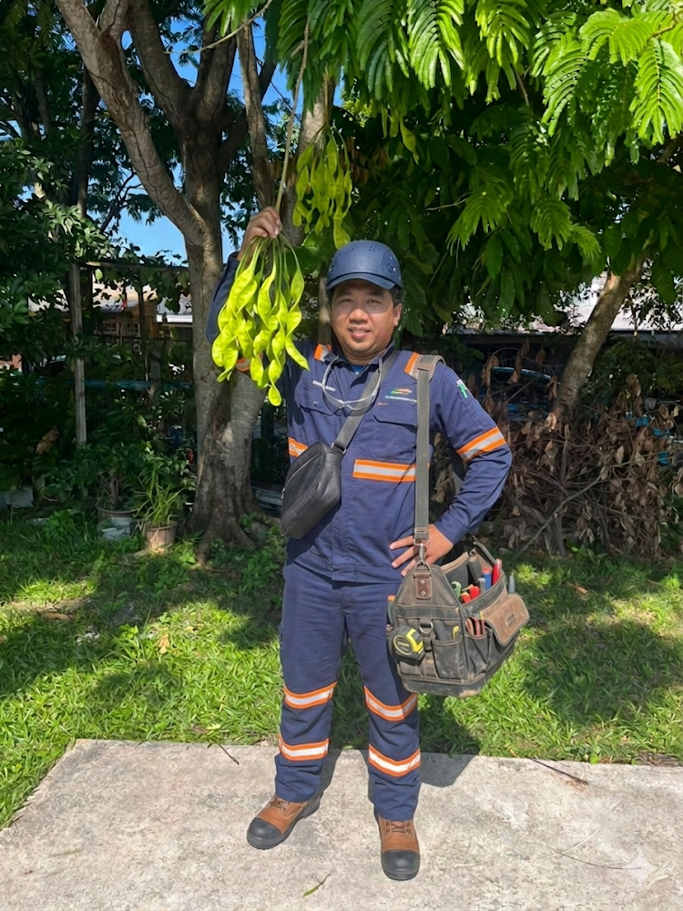 [Imej Servis Kait Petai Profesional]