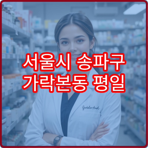 서울시 송파구 가락본동 평일 야간 약국 저녁 시간 약 구매 가능한 약국