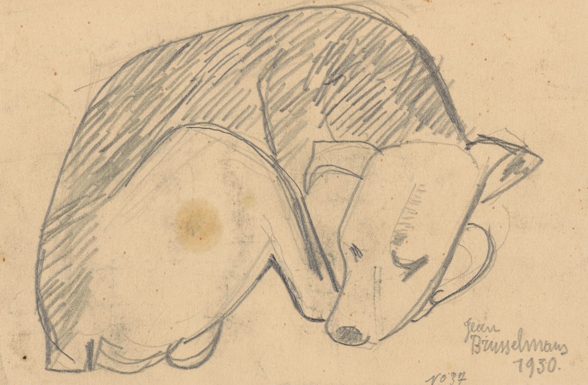 Sleeping dog 1930