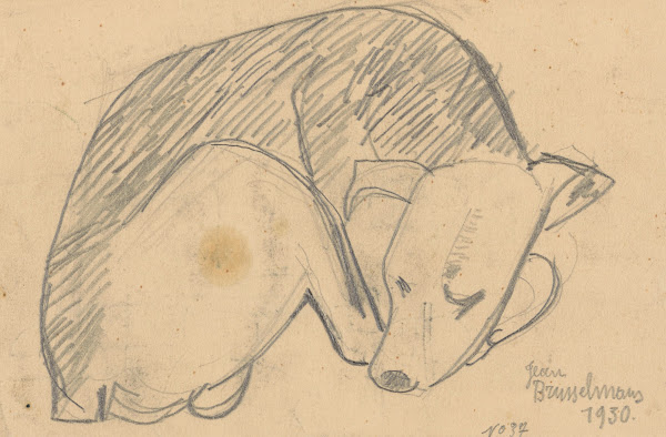 Sleeping dog 1930