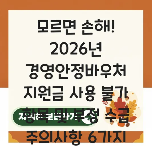 경영안정바우처 지원금 사용 불가 항목 및 부정 수급 주의사항 대표 이미지