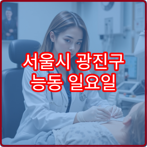 서울시 광진구 능동 일요일 산부인과 진료 병원 안내 공휴일 산부인과 진료 정보