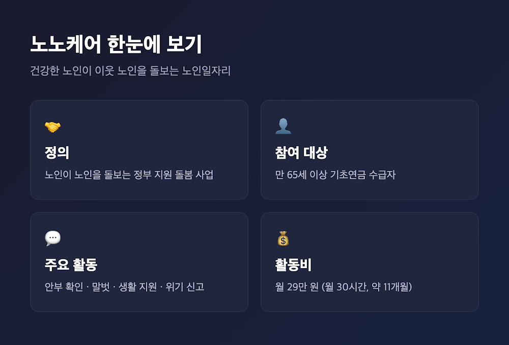 노노케어 한눈에 보는 핵심 포인트 카드 - 정의, 참여 대상, 주요 활동, 활동비 요약