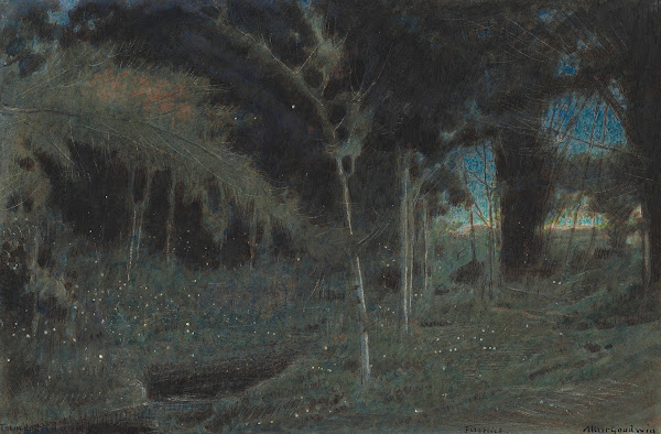 Fireflies Trinidad