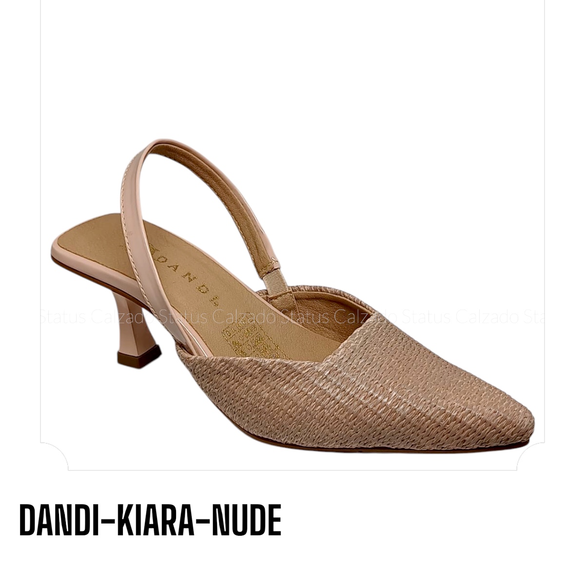 DANDI-KIARA-NUDE