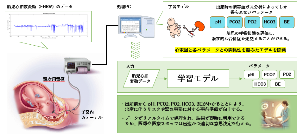 実験背景・目的
