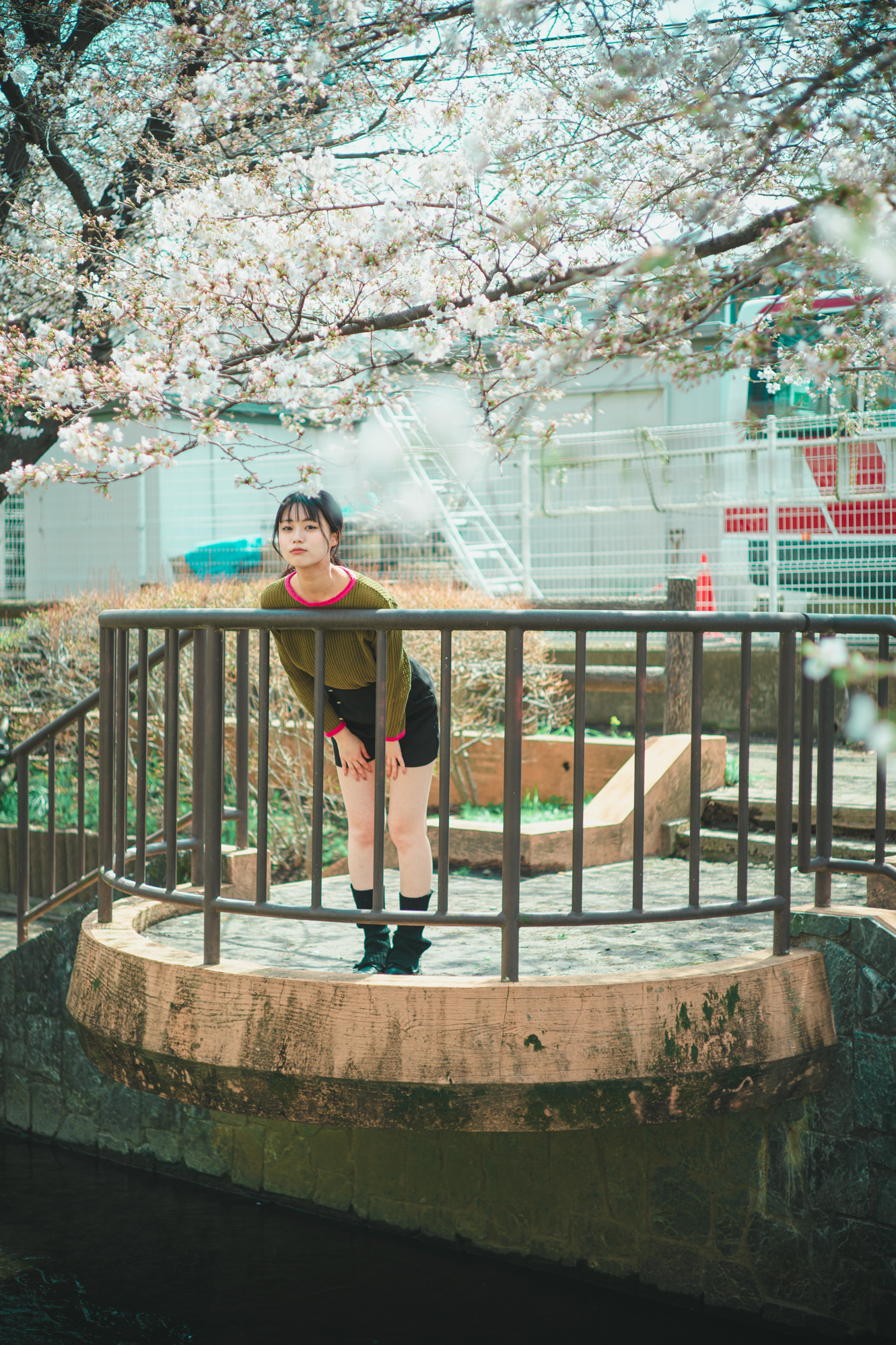 Portrait — Makino Shota
