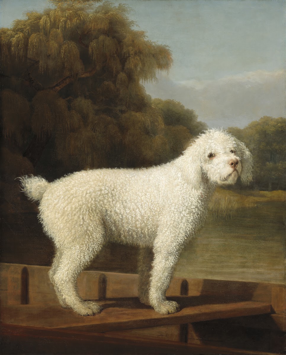 White Poodle in a Punt c 1780