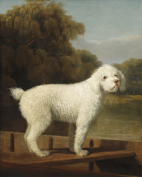 White Poodle in a Punt c 1780