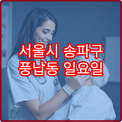 서울시 송파구 풍납동 일요일 산부인과 진료 병원 여성 진료
