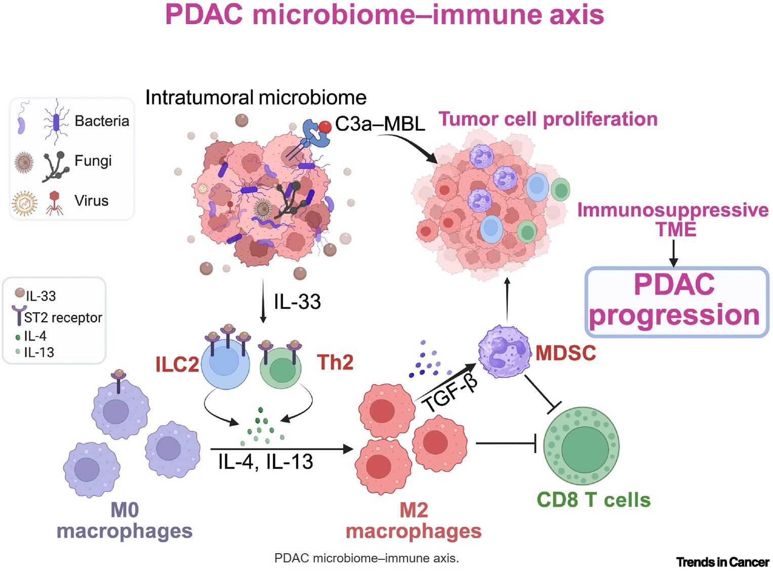 Microbiome: a driver of pancreatic inflammation and tumorigenesis