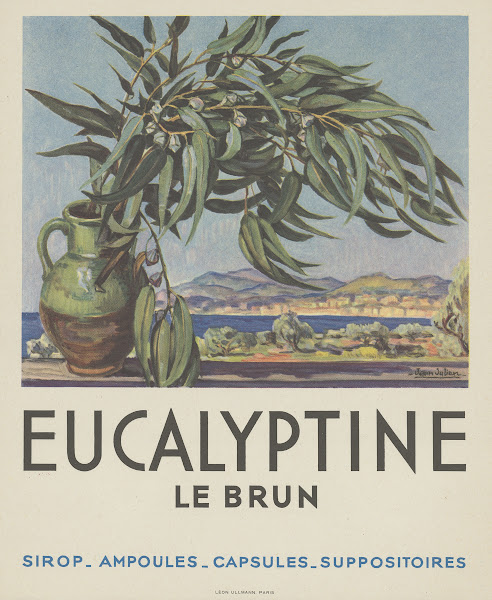 Eucalyptine Le Brun 1910 1950
