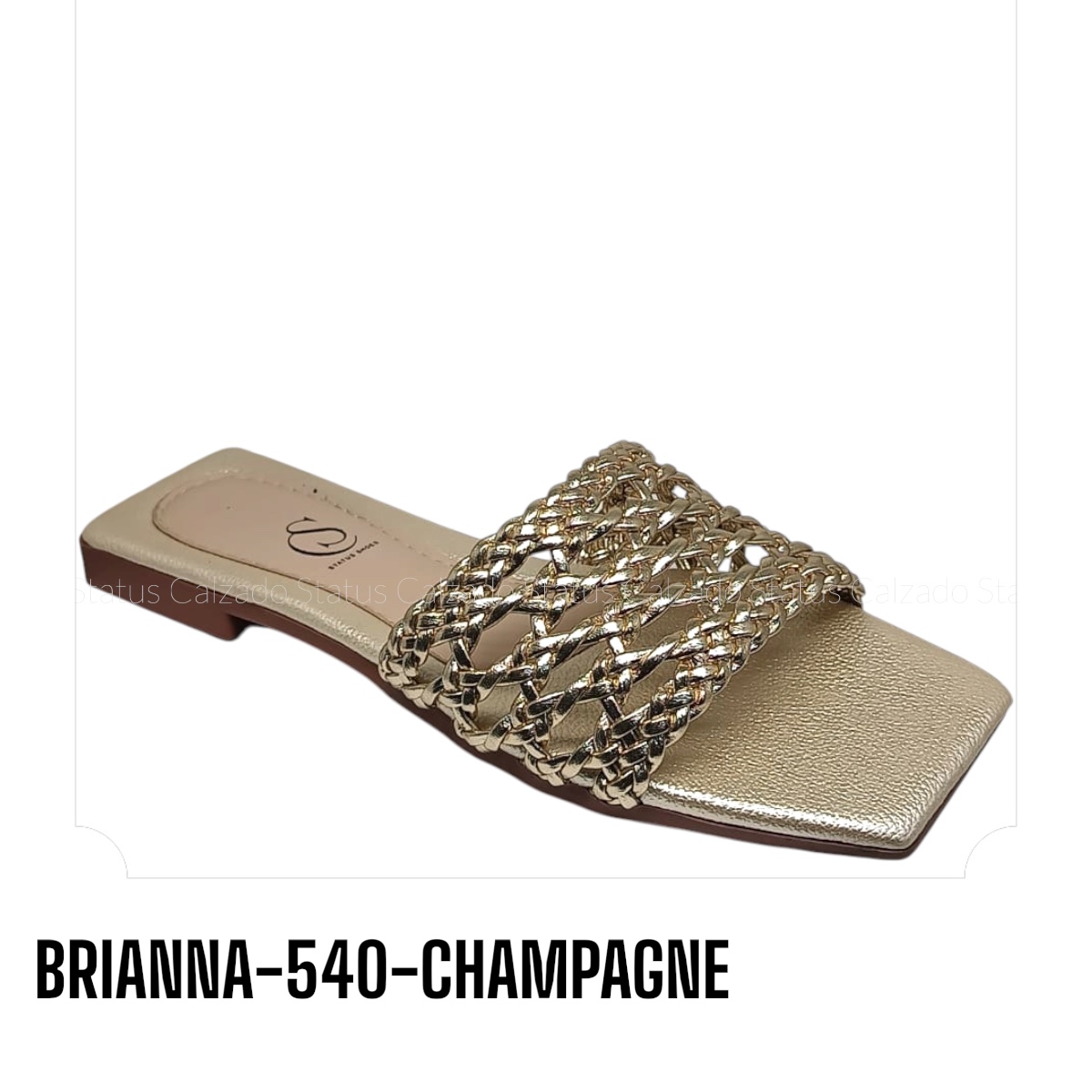 BRIANNA-540-CHAMPAGNE