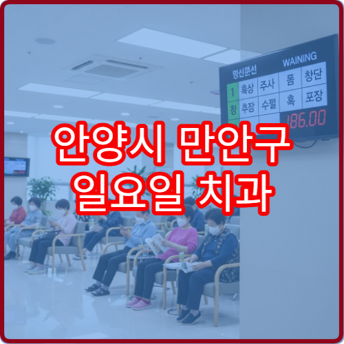 안양시 만안구 일요일 치과 진료 병원 치통·충치 상담 가능