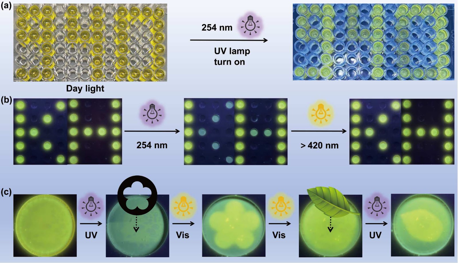 Reversible Modulation of Circularly Polarized Luminescence in Chiral Molecular Cage-Based Supramolecular Assemblies