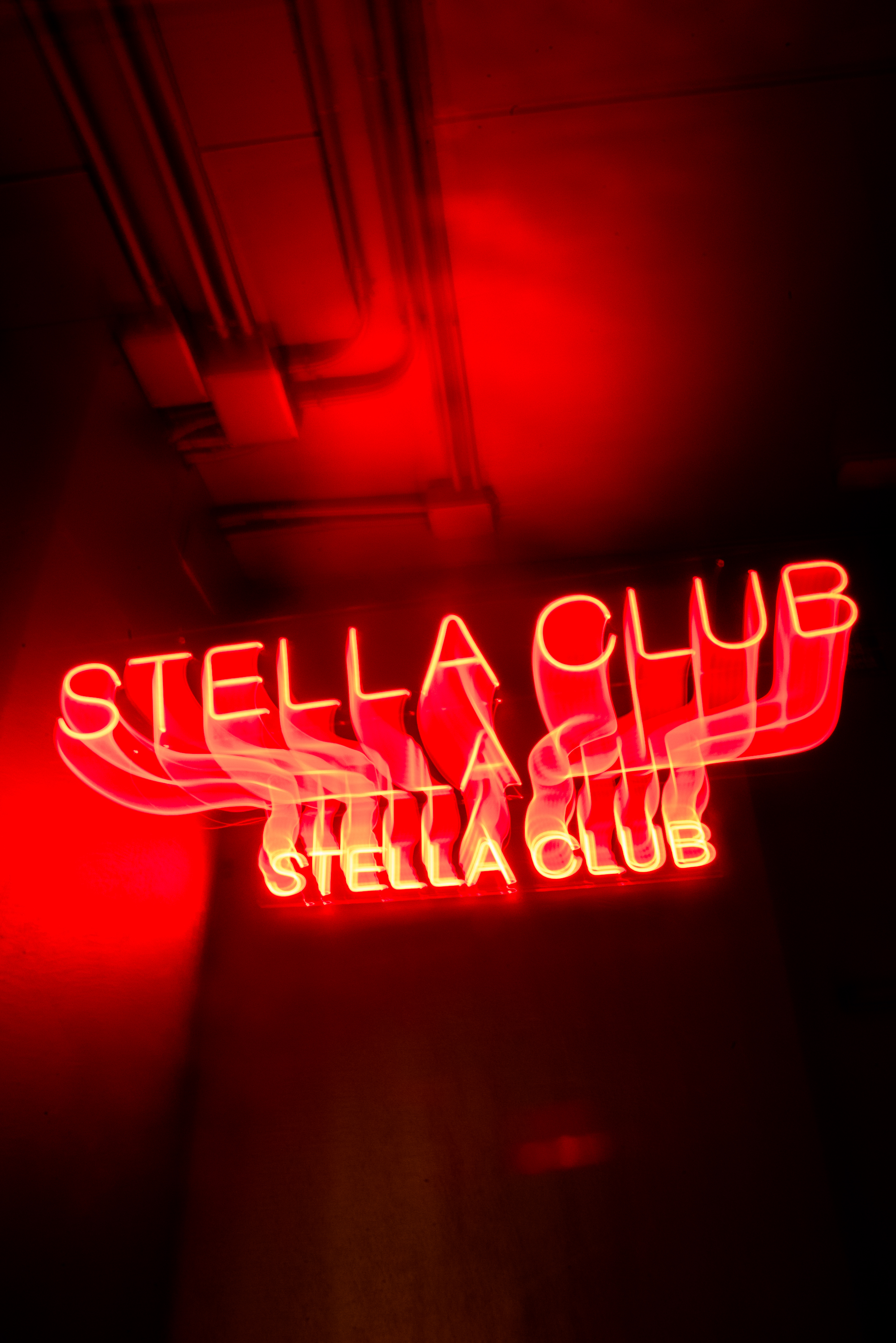 STELLA MCCARTNEY × H&M MADRID EVENT, image 7