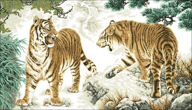 DOME100706 The Two Tigers