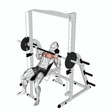 Smith Machine Incline Bench Press