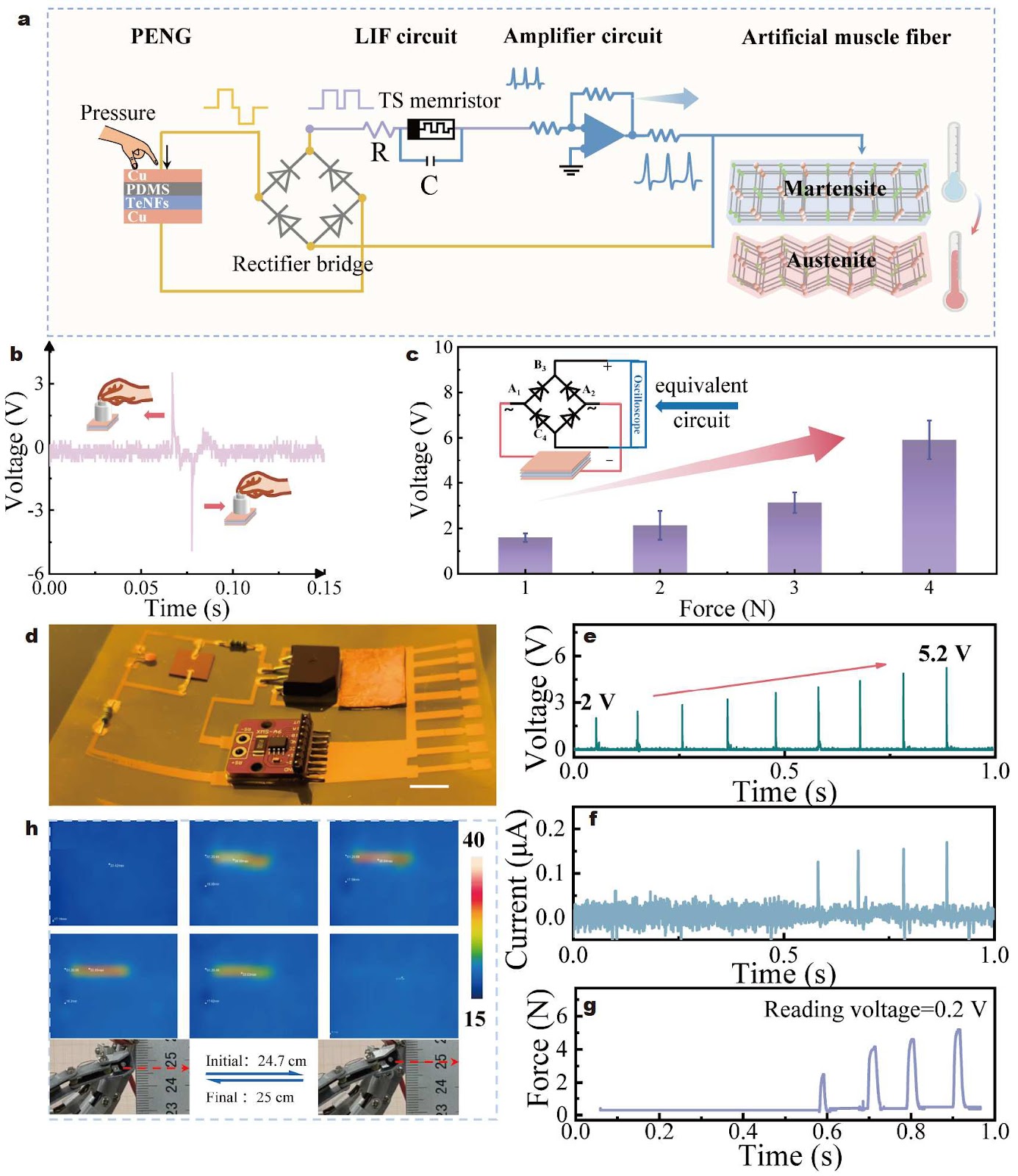 A self-powered artificial tactile perception system with self-protection functionality based on tellurene threshold switching memristor