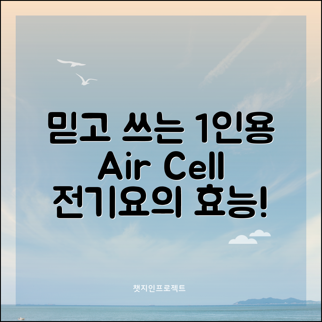믿을 수 없는 1인용에어셀전기요의 효능!