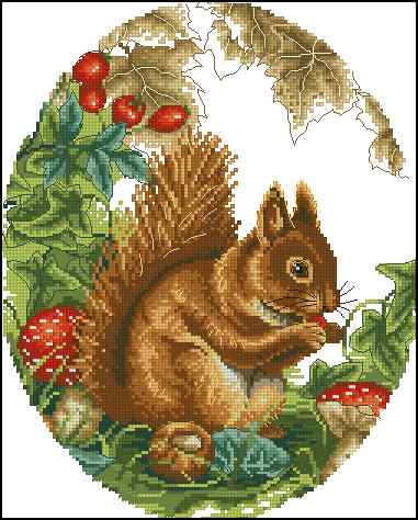 CMP 400327 Squirrel