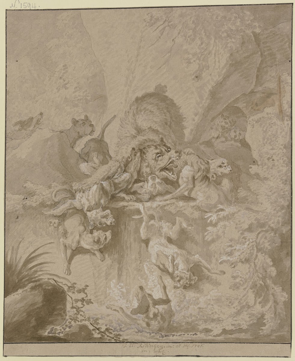 Ein BäR In Einer Schlucht Von Einem Rudel Hunde Gestellt 1746