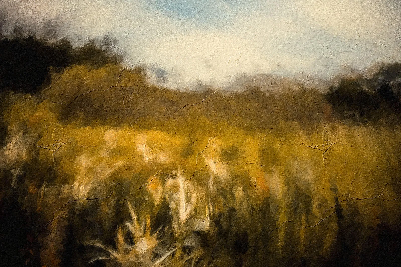 Landscape Painting, Field Art, Nature Illustration, Textured Art 5K Wallpaper Background (5568x3712)