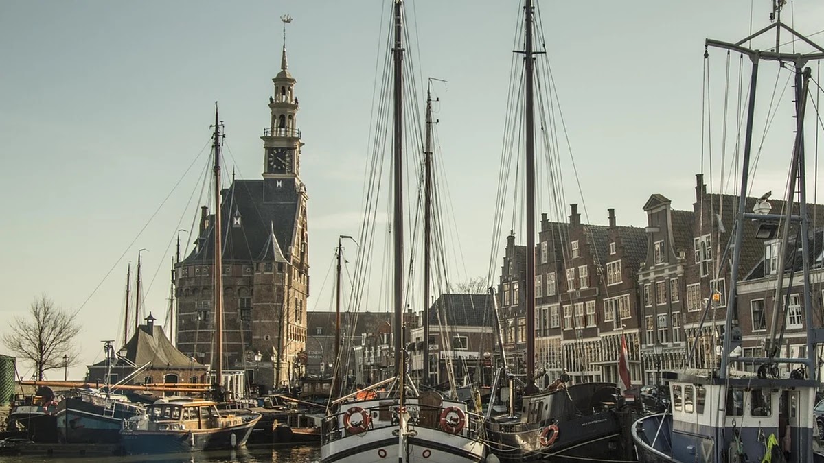 가짜 건강식품 구별법과 안전한 건강식품 선택 기준