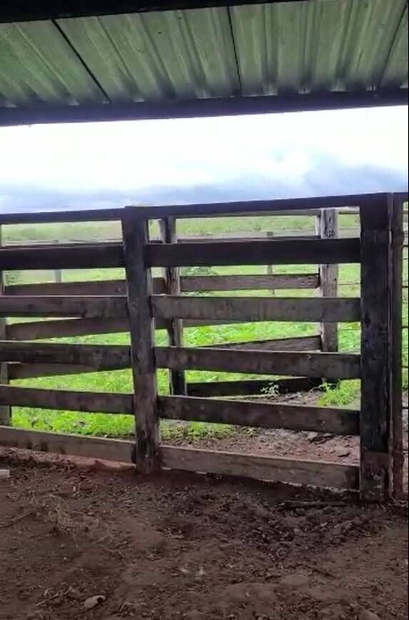 Fazenda no Município de São João da Ponte - MG 9