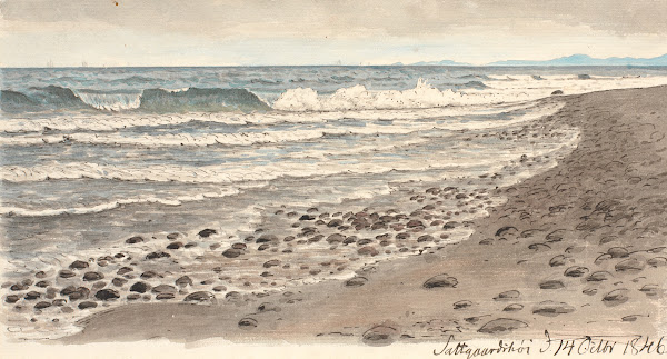 Strandbred med udsigt over Kattegat mod Kullen 1845   1846