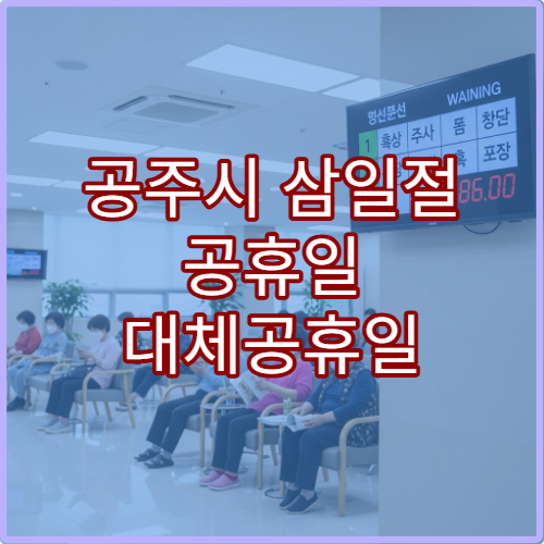 공주시 삼일절 공휴일 대체공휴일 진료 병원 어디? 연휴 문 여는 곳·응급실 운영 시간 확인 안내