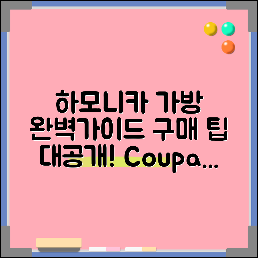 하모니카 가방 구매 완벽 가이드