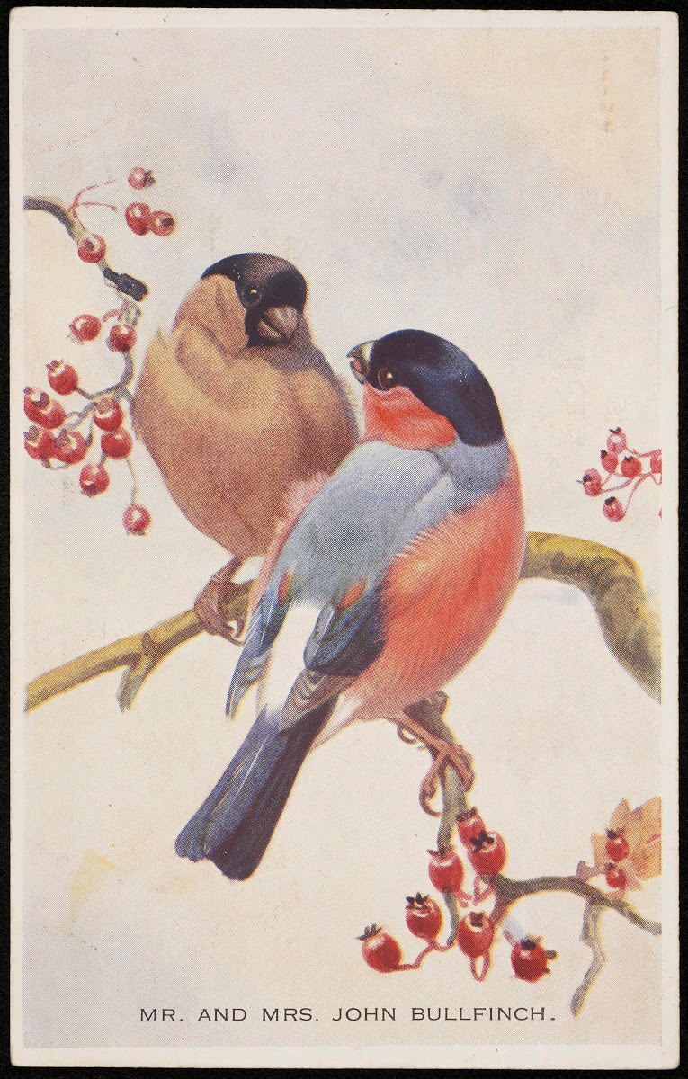 Mr and Mrs John Bullfinch 20th century