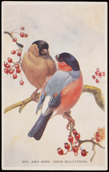 Mr and Mrs John Bullfinch 20th century