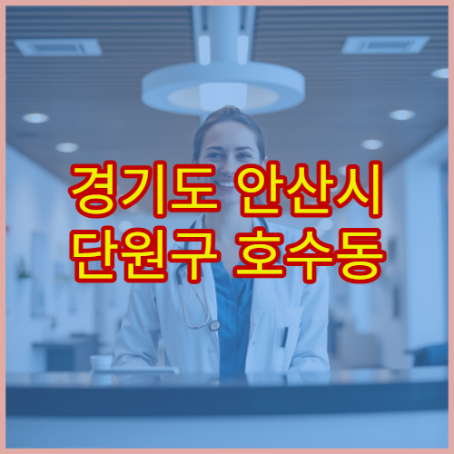 경기도 안산시 단원구 호수동 설날 연휴 24시간 응급실 감기·혈압·소화 문제 대응