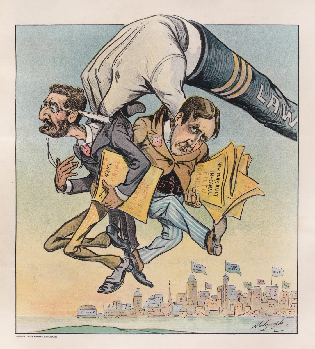 The cleansing of New York 1900