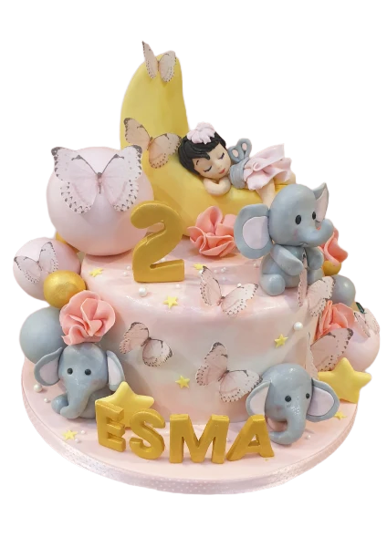 Over The Moon Birthday Cake CB-NC313