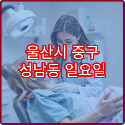 울산시 중구 성남동 일요일 치과 진료 가능한 병원 일요일 치과 진료 안내
