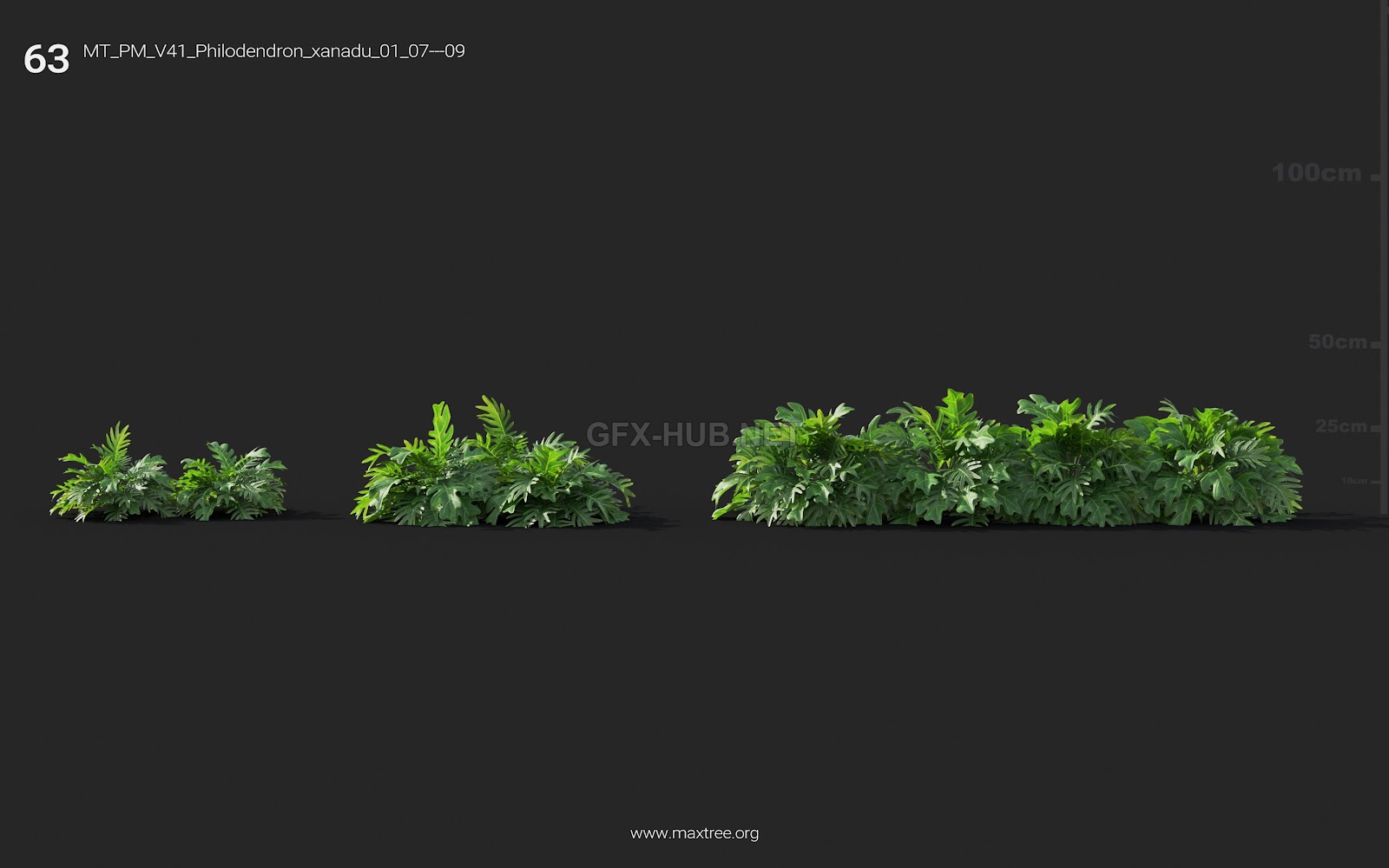 Maxtree - Plant Models Vol.41