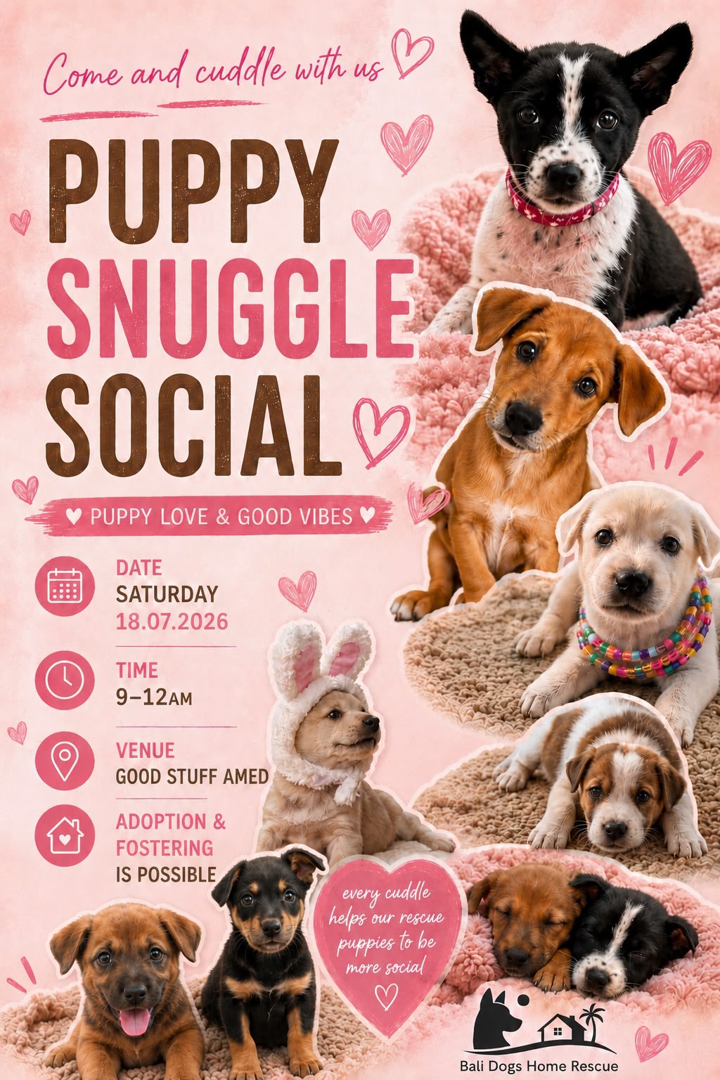 Puppy Snuggle Social