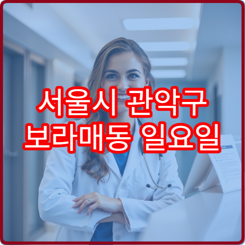 서울시 관악구 보라매동 일요일 산부인과 병원 정보