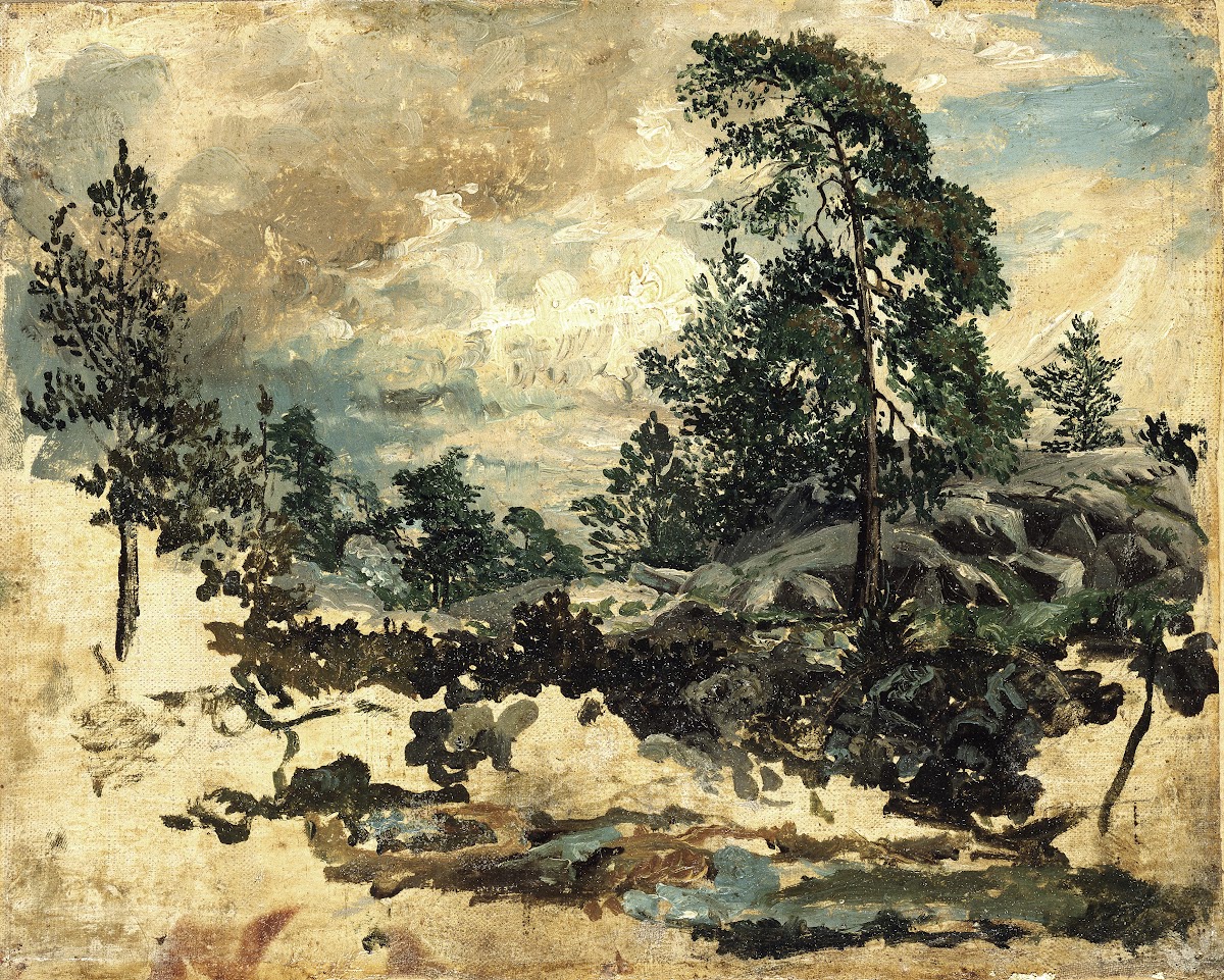 Study of Terrain