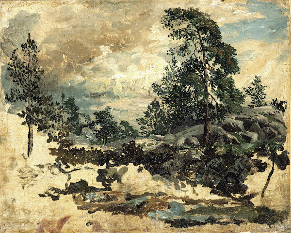 Study of Terrain