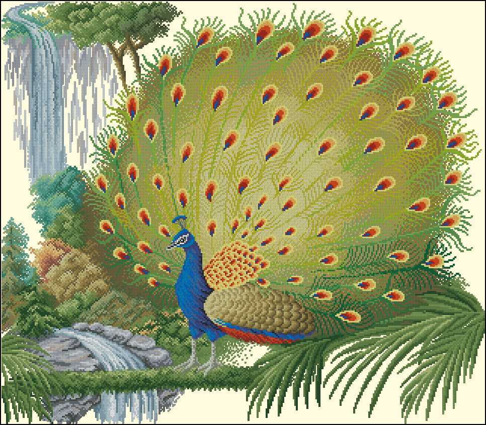 CMP DMC0227 Peacock